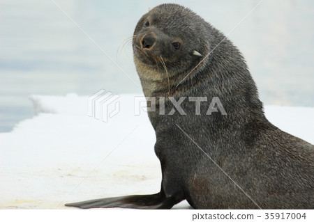 互惠拍賣 35917004