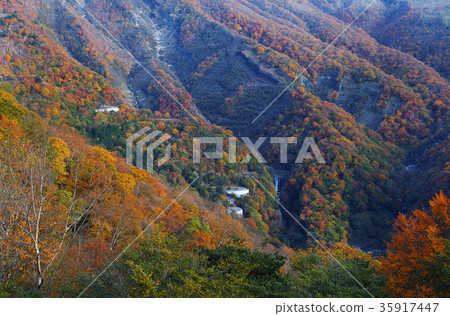 [Best time to see the autumn leaves] Irohazaka (from Akechidaira) 35917447
