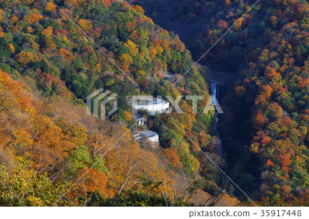 [Best time to see the autumn leaves] Irohazaka (from Akechidaira) 35917448