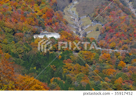 [Best time to see the autumn leaves] Irohazaka (from Akechidaira) 35917452