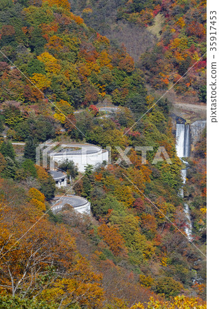 [Best time to see the autumn leaves] Irohazaka (from Akechidaira) 35917453