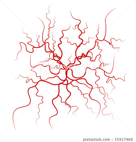 red blood vessels design