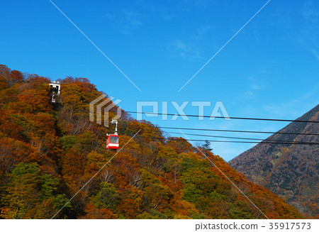 [秋葉盛開]鞦韆平索道 35917573