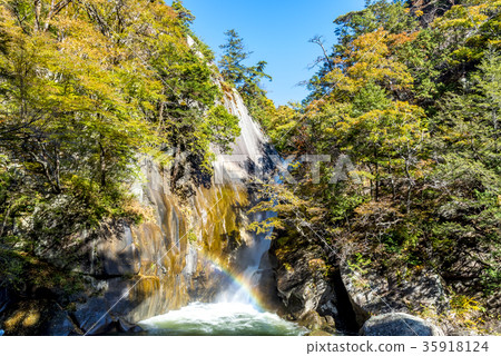 山梨縣Shosenkyo森森瀑布 35918124