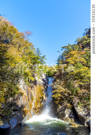 山梨縣Shosenkyo森森瀑布 35918130