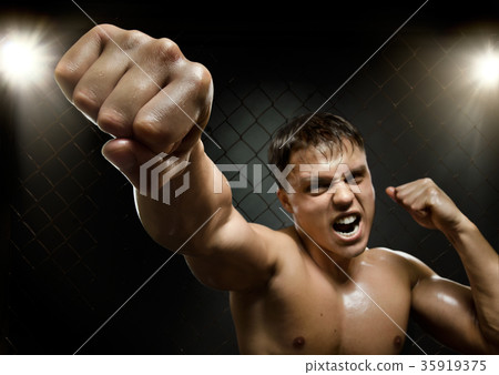 fighter fighter 35919375