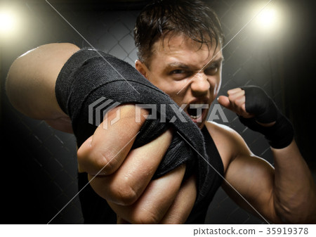 fighter fighter 35919378