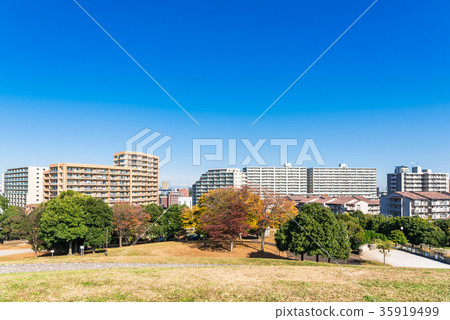 Autumn leaves in a residential area 35919499