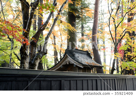Autumn corner of samurai residence 35921409