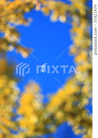 秋葉公園Icho晴朗的天氣月亮 35921474