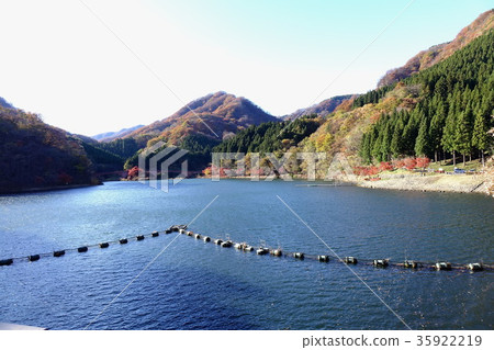 臼井湖秋葉 臼井湖秋葉 35922219