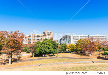 一個天空晴朗的住宅區 35925821