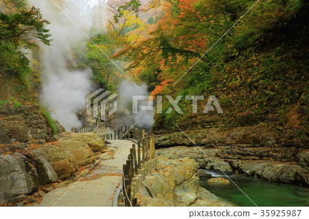 Konoyosha of autumn leaves 35925987