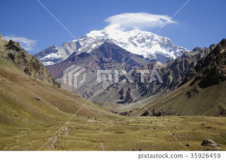 從安第斯山脈山谷觀看南美最高峰阿空加瓜，南美智利 - 阿根廷邊界和高山植物草甸傳播 35926459