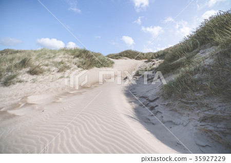 Sand dune shaped by the wind Sand dune shaped by the wind 35927229