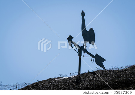 Weathervane silhouette of a rooster Weathervane silhouette of a rooster 35927309