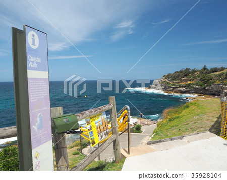 悉尼沿海步道入口 35928104