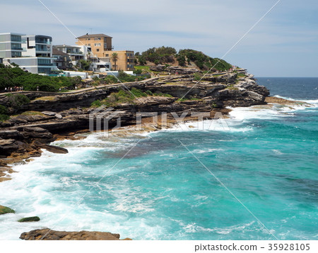 悉尼沿海步道麥肯齊點 35928105