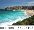 Sydney's Coastal Walk Bronte Beach 35928108