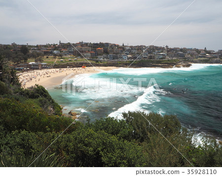 Sydney's Coastal Walk Bronte Beach 35928110