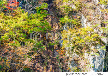 [群馬]伏木原谷 35928629