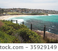 Sydney's Coastal Walk Bronte Beach 35929149