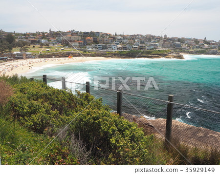 悉尼沿海步行勃朗特海灘 35929149