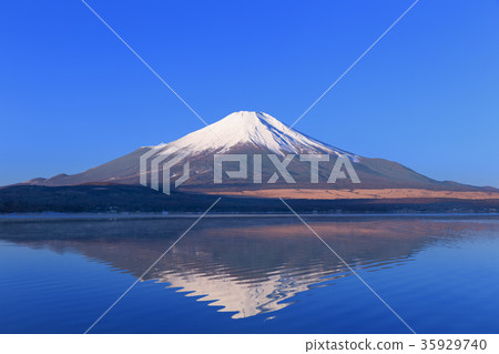 山中湖_陽光明媚的陽光倒掛富士 35929740