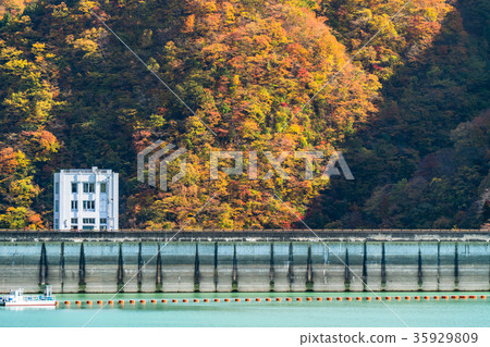 《東京》奧多摩湖與自然風光 35929809