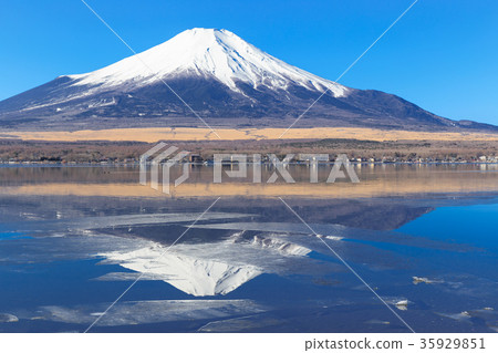 山中湖_薄冰和逆轉富士 35929851