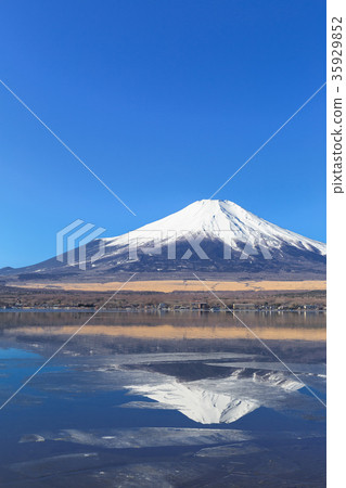 山中湖_薄冰和逆轉富士 山中湖_薄冰和逆轉富士 35929852
