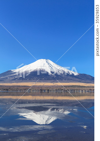 山中湖_薄冰和逆轉富士 35929853