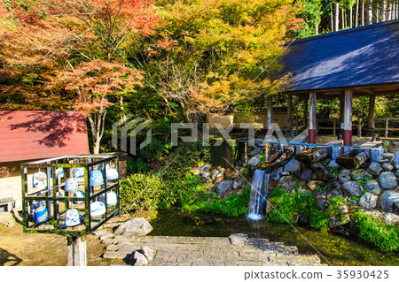 Nabeshima Pass公園佐賀縣伊万里市的秋葉 35930425