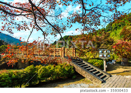 Autumn leaves of Nabeshima Pass Park Saga Prefecture Imari City Autumn leaves of Nabeshima Pass Park Saga Prefecture Imari City 35930433