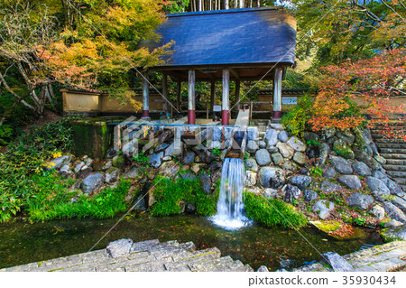 Nabeshima Pass公園佐賀縣伊万里市的秋葉 35930434