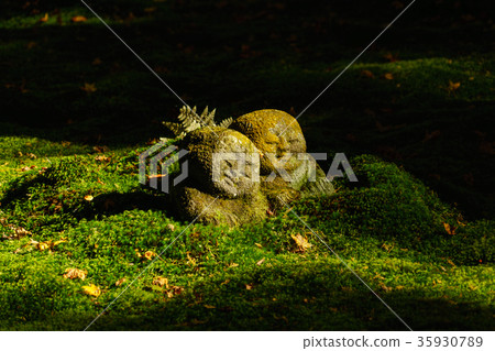 喜樂相伴的秋意 35930789