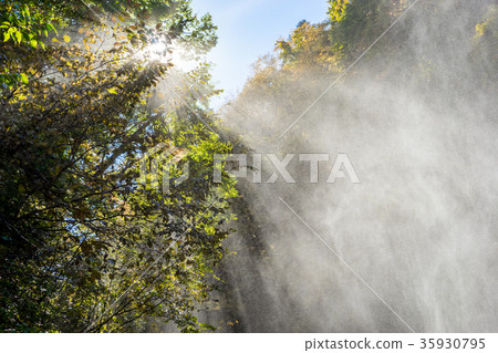 [群馬]伏木原谷 35930795