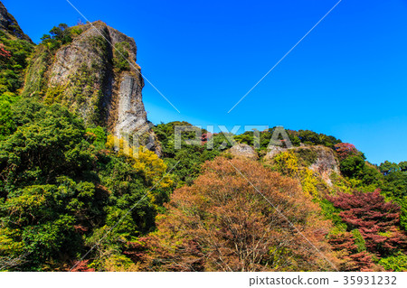 Autumn leaves of the baby boy Takeo City Saga Prefecture 35931232