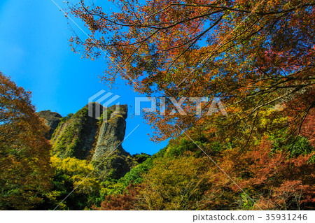 Autumn leaves of the baby boy Takeo City Saga Prefecture 35931246