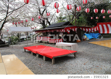 櫻花派對 35931323