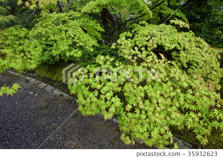 Shogakuin Imperial Palace Imperial Palace 35932623