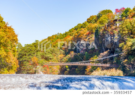 [群馬]伏木原谷 35933457