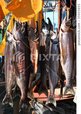 New spring salmon 35933855