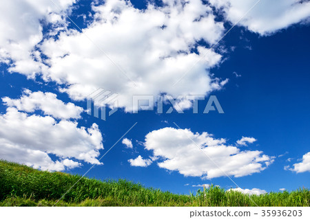 Expressive blue sky,cloudy and green field Expressive blue sky,cloudy and green field 35936203