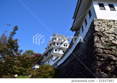 Gujo八幡城堡在秋天 35937861