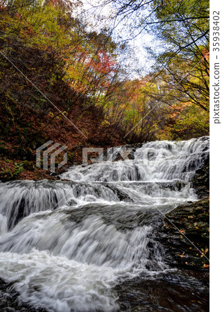 Gunma Prefecture Naganohara Town Fall of fish stopping waterfall and colored leaves Gunma Prefecture Naganohara Town Fall of fish stopping waterfall and colored leaves 35938402