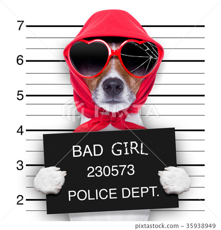 mugshot lady dog 35938949