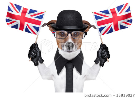 british dog british dog 35939027