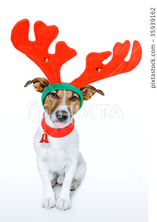 dog as deer dog as deer 35939162