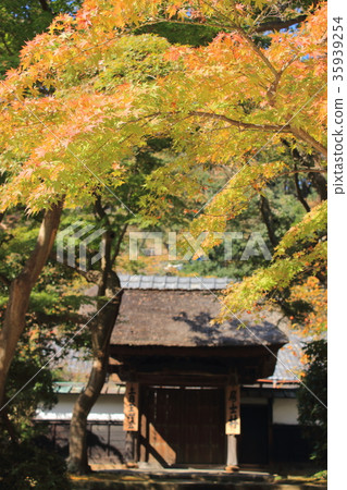 Autumn beginning of the temple 35939254